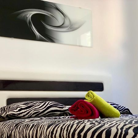 Absolute Apartman Kotor Exteriér fotografie